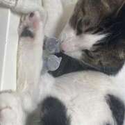 ヒメ日記 2025/12/08 15:52 投稿 藤崎みゆ 五十路マダムエクスプレス横浜店（カサブランカグループ）