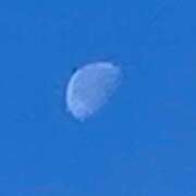 ヒメ日記 2025/12/12 05:40 投稿 藤崎みゆ 五十路マダムエクスプレス横浜店（カサブランカグループ）