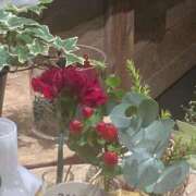 ヒメ日記 2025/12/14 22:50 投稿 藤崎みゆ 五十路マダムエクスプレス横浜店（カサブランカグループ）