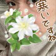 ヒメ日記 2025/12/15 05:34 投稿 藤崎みゆ 五十路マダムエクスプレス横浜店（カサブランカグループ）