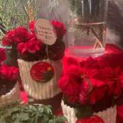 ヒメ日記 2025/12/19 00:36 投稿 藤崎みゆ 五十路マダムエクスプレス横浜店（カサブランカグループ）