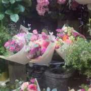 ヒメ日記 2025/12/21 06:24 投稿 藤崎みゆ 五十路マダムエクスプレス横浜店（カサブランカグループ）