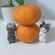 ヒメ日記 2025/12/21 09:18 投稿 藤崎みゆ 五十路マダムエクスプレス横浜店（カサブランカグループ）