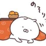 ヒメ日記 2025/12/28 20:44 投稿 藤崎みゆ 五十路マダムエクスプレス横浜店（カサブランカグループ）