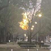 ヒメ日記 2026/01/02 16:52 投稿 藤崎みゆ 五十路マダムエクスプレス横浜店（カサブランカグループ）