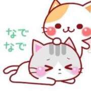 ヒメ日記 2026/01/06 23:20 投稿 藤崎みゆ 五十路マダムエクスプレス横浜店（カサブランカグループ）