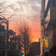 ヒメ日記 2026/01/08 18:46 投稿 藤崎みゆ 五十路マダムエクスプレス横浜店（カサブランカグループ）