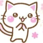 ヒメ日記 2026/01/11 05:18 投稿 藤崎みゆ 五十路マダムエクスプレス横浜店（カサブランカグループ）