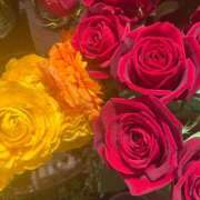 ヒメ日記 2026/01/14 05:18 投稿 藤崎みゆ 五十路マダムエクスプレス横浜店（カサブランカグループ）