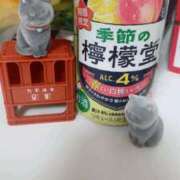 ヒメ日記 2026/01/21 01:42 投稿 藤崎みゆ 五十路マダムエクスプレス横浜店（カサブランカグループ）