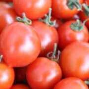 ヒメ日記 2026/01/23 01:44 投稿 藤崎みゆ 五十路マダムエクスプレス横浜店（カサブランカグループ）