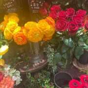 ヒメ日記 2026/01/25 06:20 投稿 藤崎みゆ 五十路マダムエクスプレス横浜店（カサブランカグループ）