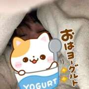 ヒメ日記 2026/01/30 06:30 投稿 藤崎みゆ 五十路マダムエクスプレス横浜店（カサブランカグループ）