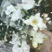 ヒメ日記 2026/02/01 18:06 投稿 藤崎みゆ 五十路マダムエクスプレス横浜店（カサブランカグループ）