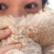 ヒメ日記 2026/02/04 07:24 投稿 藤崎みゆ 五十路マダムエクスプレス横浜店（カサブランカグループ）