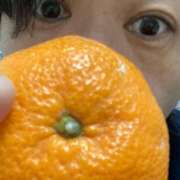 ヒメ日記 2026/02/04 14:46 投稿 藤崎みゆ 五十路マダムエクスプレス横浜店（カサブランカグループ）