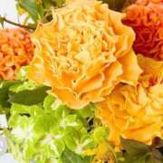 ヒメ日記 2026/02/08 00:04 投稿 藤崎みゆ 五十路マダムエクスプレス横浜店（カサブランカグループ）