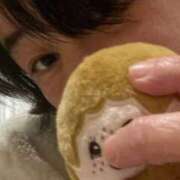 ヒメ日記 2026/02/11 23:14 投稿 藤崎みゆ 五十路マダムエクスプレス横浜店（カサブランカグループ）