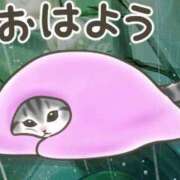 ヒメ日記 2026/02/12 05:30 投稿 藤崎みゆ 五十路マダムエクスプレス横浜店（カサブランカグループ）