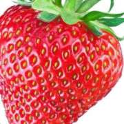 ヒメ日記 2026/02/16 09:32 投稿 藤崎みゆ 五十路マダムエクスプレス横浜店（カサブランカグループ）