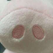 ヒメ日記 2026/02/17 01:36 投稿 藤崎みゆ 五十路マダムエクスプレス横浜店（カサブランカグループ）