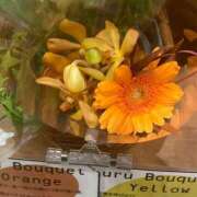 ヒメ日記 2026/03/02 14:10 投稿 藤崎みゆ 五十路マダムエクスプレス横浜店（カサブランカグループ）