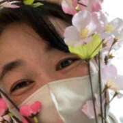 ヒメ日記 2026/03/20 12:00 投稿 藤崎みゆ 五十路マダムエクスプレス横浜店（カサブランカグループ）