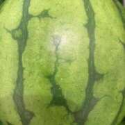 ヒメ日記 2026/03/21 16:10 投稿 藤崎みゆ 五十路マダムエクスプレス横浜店（カサブランカグループ）