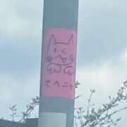 ヒメ日記 2026/03/27 12:34 投稿 藤崎みゆ 五十路マダムエクスプレス横浜店（カサブランカグループ）