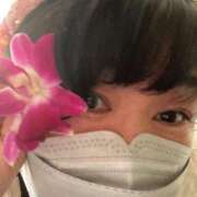 ヒメ日記 2026/04/03 07:24 投稿 藤崎みゆ 五十路マダムエクスプレス横浜店（カサブランカグループ）