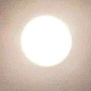 ヒメ日記 2026/04/03 08:14 投稿 藤崎みゆ 五十路マダムエクスプレス横浜店（カサブランカグループ）