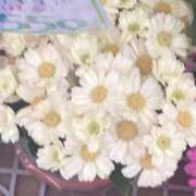 ヒメ日記 2026/04/05 10:36 投稿 藤崎みゆ 五十路マダムエクスプレス横浜店（カサブランカグループ）