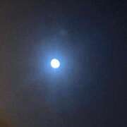 ヒメ日記 2026/04/06 01:32 投稿 藤崎みゆ 五十路マダムエクスプレス横浜店（カサブランカグループ）