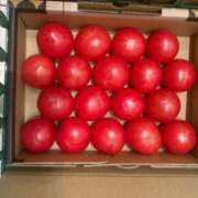 ヒメ日記 2026/04/23 23:58 投稿 藤崎みゆ 五十路マダムエクスプレス横浜店（カサブランカグループ）