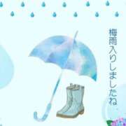 ヒメ日記 2026/06/08 01:16 投稿 藤崎みゆ 五十路マダムエクスプレス横浜店（カサブランカグループ）