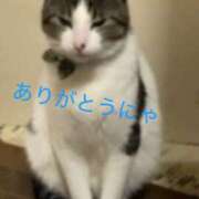ヒメ日記 2026/07/31 20:12 投稿 藤崎みゆ 五十路マダムエクスプレス横浜店（カサブランカグループ）