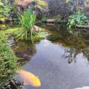 ヒメ日記 2026/01/05 18:51 投稿 華宮　つぐみ ナディア（奈良）