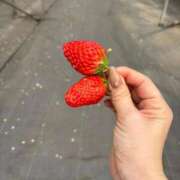 ヒメ日記 2026/01/15 18:02 投稿 蓮見（はすみ） 熟女の風俗最終章 名古屋店