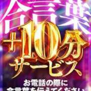 ヒメ日記 2026/04/12 13:04 投稿 れな サンキュー沼津店（サンキューグループ）