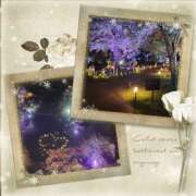 ヒメ日記 2025/11/09 04:15 投稿 ひな 奥鉄オクテツ神奈川店（デリヘル市場グループ）