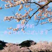 ひな 事前予約❤️様 奥鉄オクテツ神奈川店（デリヘル市場グループ）