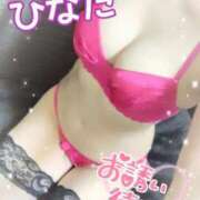 ヒメ日記 2026/02/19 14:35 投稿 ひなた 渋谷蘭の会