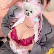 ヒメ日記 2025/11/09 20:46 投稿 まりん E+アイドルスクール池袋店