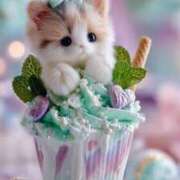 ヒメ日記 2025/12/07 13:37 投稿 はのん 丸妻 横浜本店