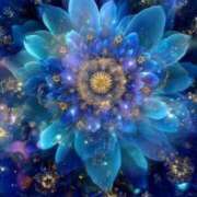 ヒメ日記 2025/12/09 13:18 投稿 はのん 丸妻 横浜本店