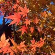 ヒメ日記 2025/12/09 14:16 投稿 はのん 丸妻 横浜本店