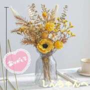 ヒメ日記 2025/10/06 12:22 投稿 しほ【人妻】 恵比寿コレクション　久留米本店