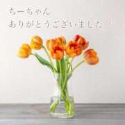 ヒメ日記 2025/10/06 13:13 投稿 しほ【人妻】 恵比寿コレクション　久留米本店