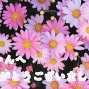 ヒメ日記 2025/10/11 20:53 投稿 しほ【人妻】 恵比寿コレクション　久留米本店