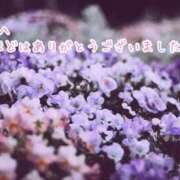 ヒメ日記 2025/10/12 15:13 投稿 しほ【人妻】 恵比寿コレクション　久留米本店